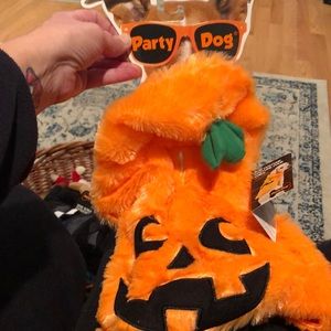 Party DOG costume-  Pumpkin doggie hoodie. Size:  Med/large.  New with tags